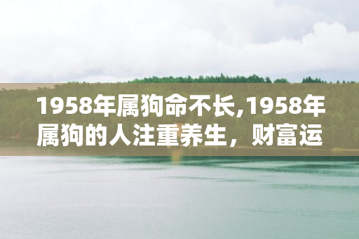 1958年属狗命不长,1958年属狗的人注重养生，财富运势乐观 第1张