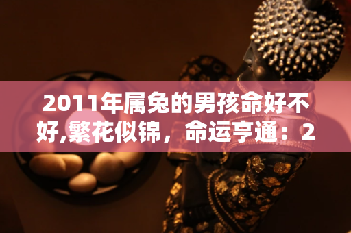 2011年属兔的命好不好, 2011年属兔的生活特点 第1张