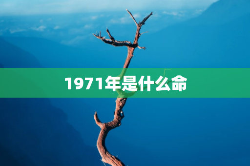 1971年是什么命， 五行属什么 第1张