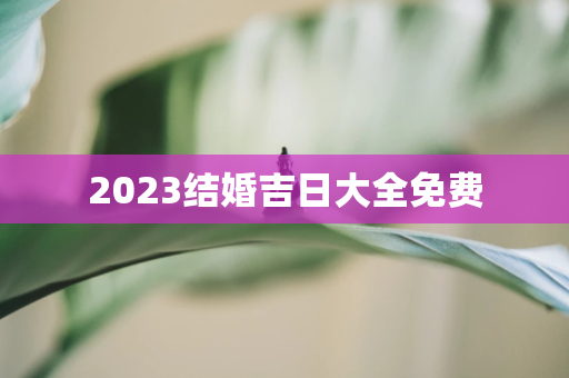 2024结婚吉日大全免费 第1张