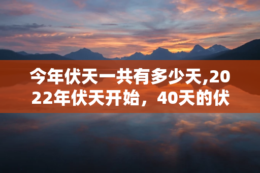 今年伏天一共有多少天,2023年伏天开始，40天的伏天来袭 第1张