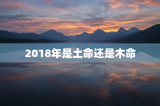 2018年是土命还是木命 第1张